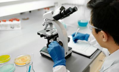 氨茶碱 的“兽药文号”下来了